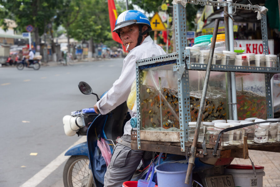 Aquarium sur scooter au Vietnam