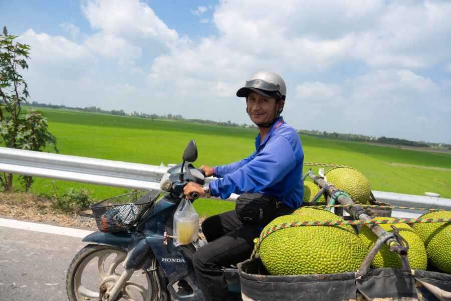 Fruits du jacquier sur un scooter entre Tan Chau et Chau Doc
