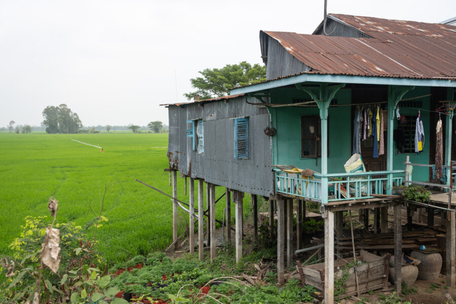 Maisons sur pilotis et rizières entre Chau Doc et Tan Chau