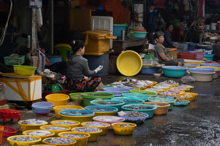 Marché aux poissons à Chau Doc, Vietnam