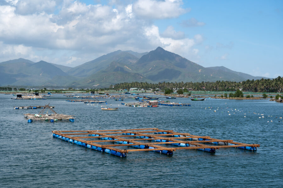 Pisciculture à Song Cay, Sud du Vietnam