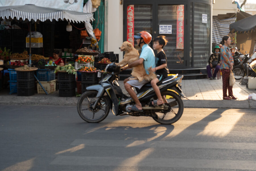 Scooter avec chien à Chau Doc, Vietnam