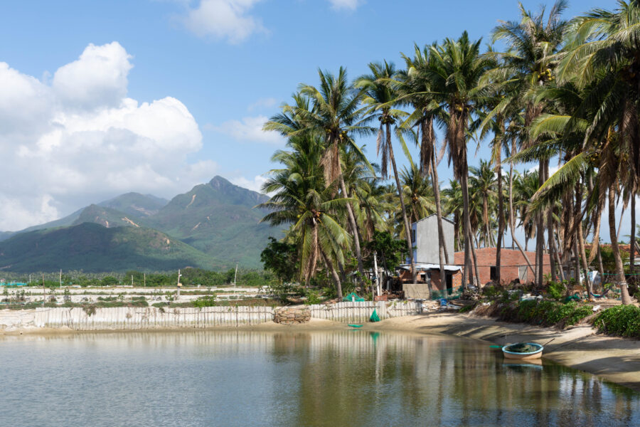 Balade à scooter entre Song Cau et Quy Nhon