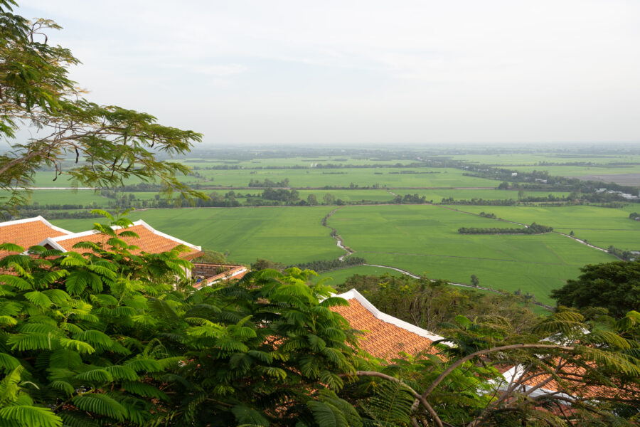 Vue sur les rizières depuis la colline de Nui Sam